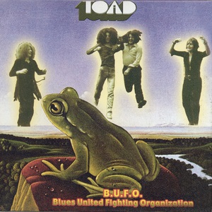 B.U.F.O. (1970 Acetate)