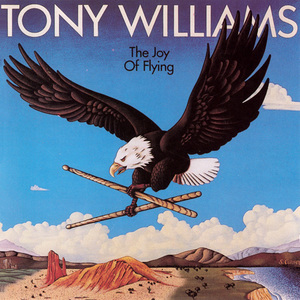 The Joy Of Flying (Vinyl)