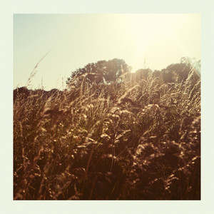 Sweet (EP) (Vinyl)