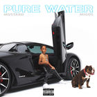 Pure Water (& Migos) (CDS)