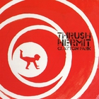 Thrush Hermit - Clayton Park