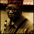 Fred Anderson - Birdhouse