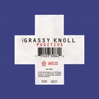 The Grassy Knoll - Positive