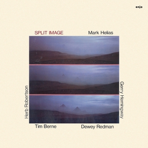 Split Image (Vinyl)