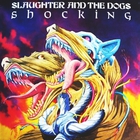 Slaughter & The Dogs - Shocking