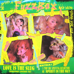 Love Is The Slug (VLS)