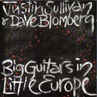 Justin Sullivan - Big Guitars In Little Europe (With Dave Blomberg)