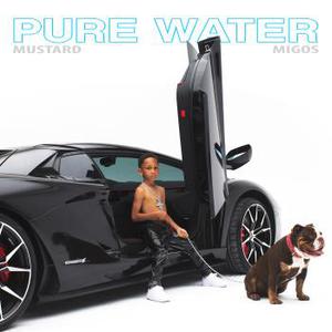 Pure Water (CDS)