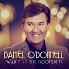 Daniel O'Donnell - Walkin' In The Moonlight