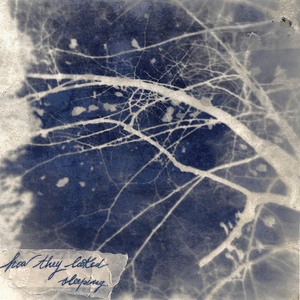 How They Looked Sleeping (A Collection Of Short Stories)