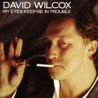 David Wilcox - My Eyes Keep Me In Trouble (Vinyl)