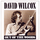 David Wilcox - Out Of The Woods (Vinyl)