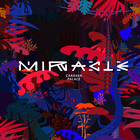 Miracle (CDS)