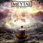 Meytal - The Witness
