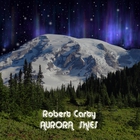 Robert Carty - Aurora Skies