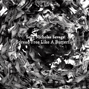 Spread Free Like A Butterfly