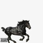 Old Town Road (CDS)