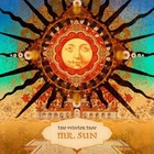 The Winter Tree - Mr. Sun