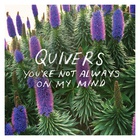 You're Not Always On My Mind (CDS)