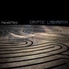 Harald Nies - Cryptic Labyrinth