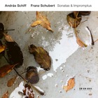 Andras Schiff - Franz Schubert: Sonatas & Impromptus