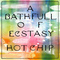 Hot Chip - A Bath Full of Ecstasy