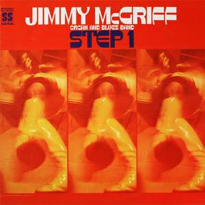 Step 1 (Vinyl)