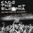 Cage The Elephant - Live From The Vic In Chicago