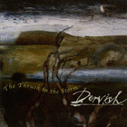 Dervish - The Thrush In The Storm