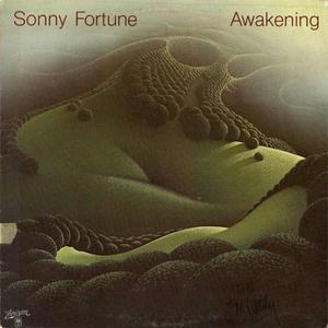 Awakening (Vinyl)