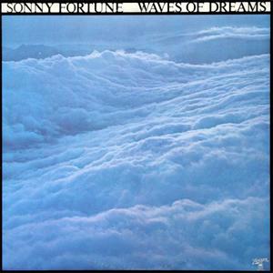 Waves Of Dreams (Vinyl)