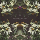 The Stargazer Lilies - Lost