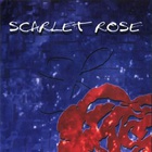 Scarlet Rose - Prime