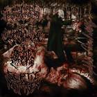 Slamophiliac - Exhibits Of Carnal Artistry (Split)