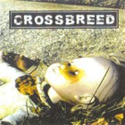 Crossbreed - Babydoll (EP)