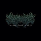 Destruction Of A Body (EP)