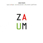Steve Harris & Zaum - Zaum
