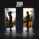 Jonas Blue - What I Like About You (CDS)