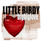 Little Birdy - Bigbiglove CD2
