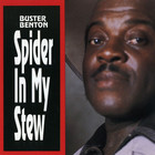 Buster Benton - Spider In My Stew (Reissued 1994)