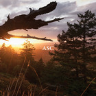 ASC - The Light That Burns Twice As Bright