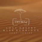 Lost Desert - Vutuka (CDS)