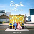 Sigala - Wish You Well (CDS)