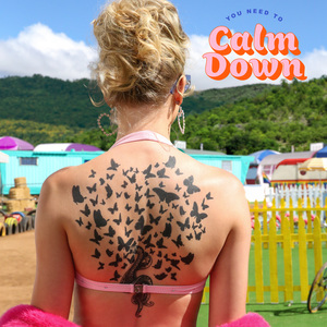 You Need To Calm Down (CDS)