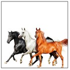 Old Town Road (Diplo Remix) (CDS)
