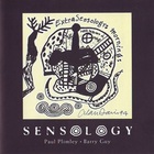 Paul Plimley - Sensology (With Barry Guy)