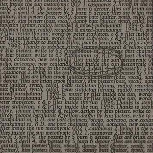 Flies Inside The Sun