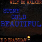 Wily Bo Walker - Stone Cold Beautiful