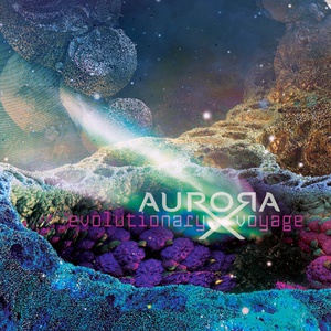 Evolutionary Voyage