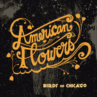 Birds Of Chicago - American Flowers (EP)